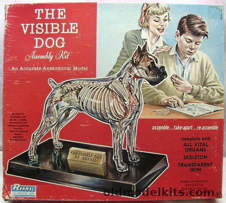 Renwal 1/3 The Visible Dog, 806-398 plastic model kit